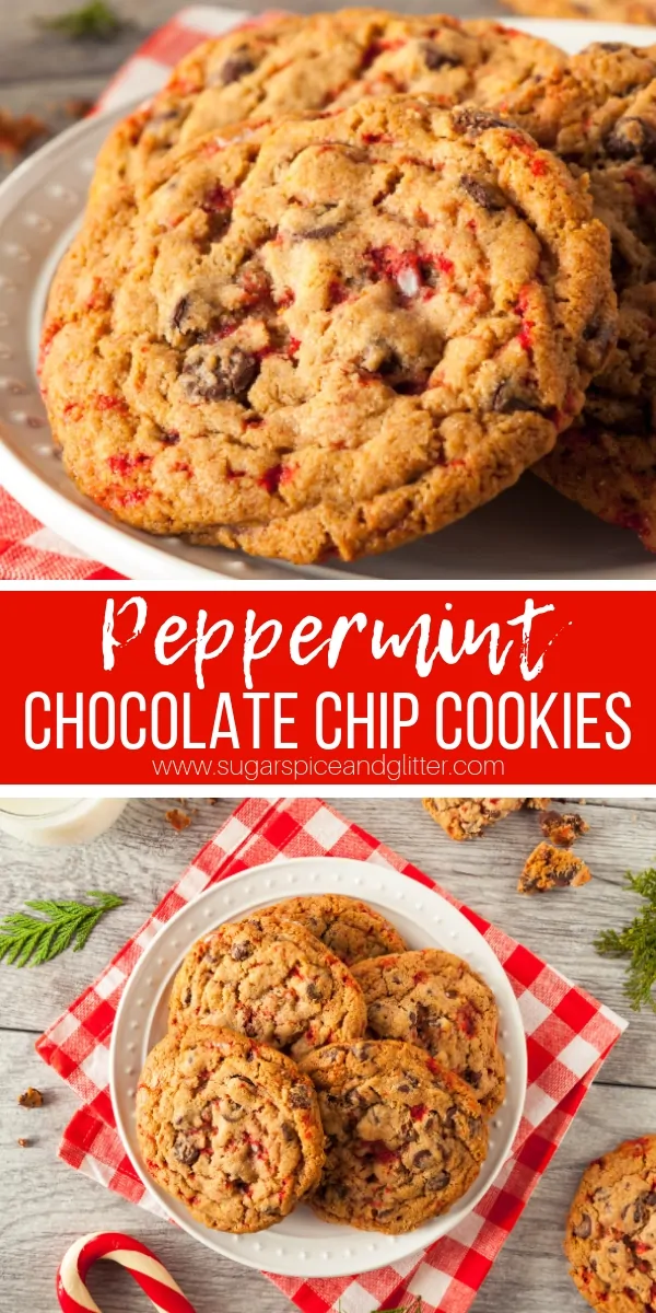 Copycat Disney Peppermint Crunch Cookies - the perfect mix of buttery, chocolatey and MINTY cookies!