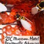 21C Museum Hotel Bentonville Review