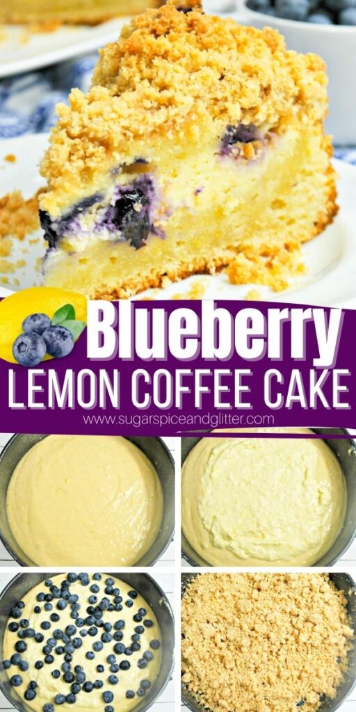 Blueberry Lemon Coffee Cake is two desserts in one - a bakery-style lemon coffee cake with a surprise blueberry-lemon cheesecake filling. It's decadent and rich, balancing the bright summer flavors with the buttery, crumb topping perfectly.