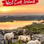 West Cork Foodie Guide