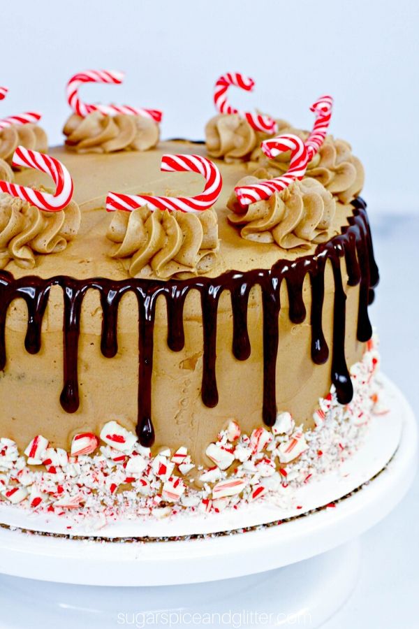 This Triple Chocolate Candy Cane Cake has it all - velvety chocolate cake, peppermint chocolate frosting, and cute little candy canes to boot!