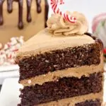 Triple Chocolate Peppermint Cake