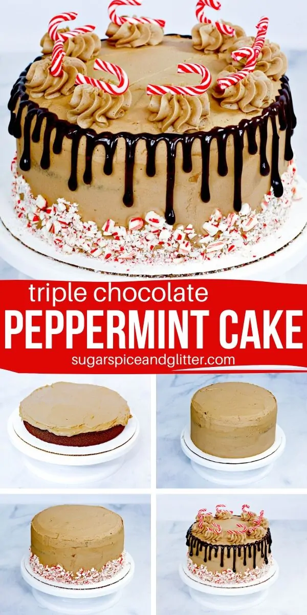 If you're a Peppermint Mocha fan, you're going to love this Triple Chocolate Peppermint Cake. It's the perfect Christmas Cake and super simple to make