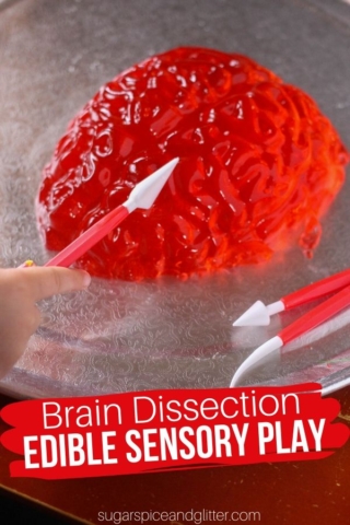 jello brain sensory bin