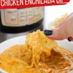 Instant Pot Chicken Enchilada Dip