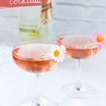 Pink French 77: Disney’s Rapunzel Cocktail