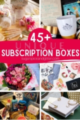 unique subscription box gifts