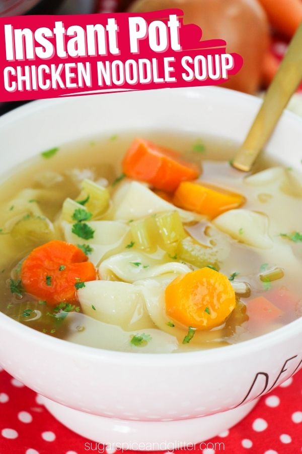 Instant Pot Chicken Noodle Soup (with Video)