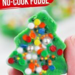 Christmas Tree Fudge (with Video)
