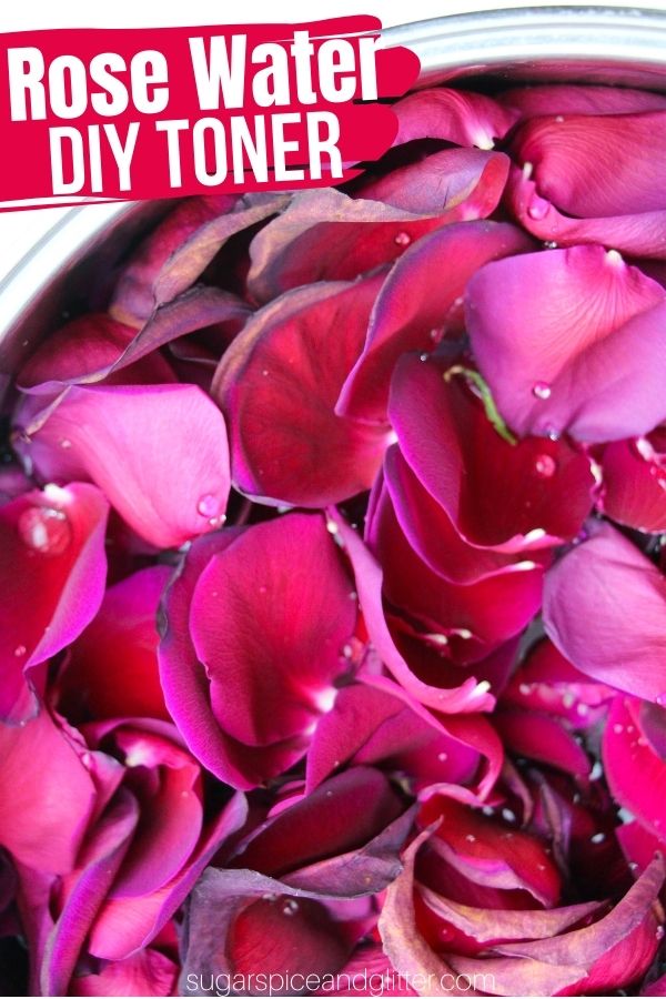 Homemade Rose Water ⋆ Sugar, Spice and Glitter