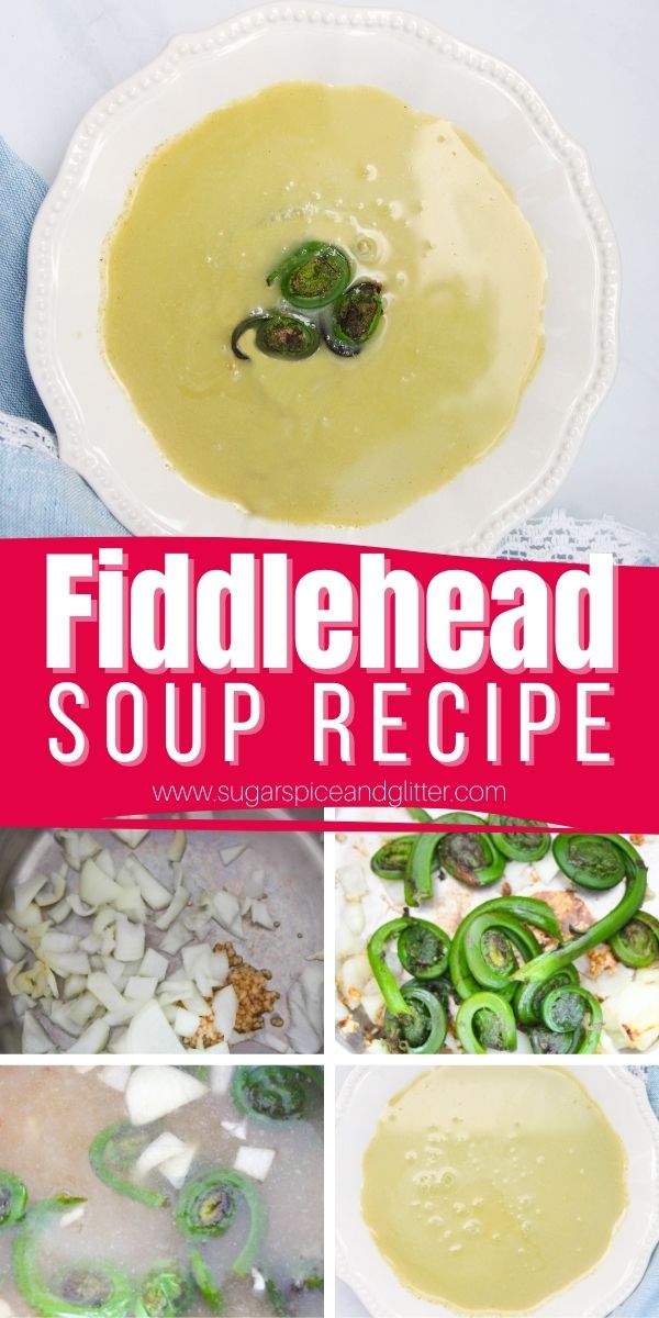How to make a fresh, creamy Fiddlehead soup recipe using this gem of the Spring. Similar to cream of asparagus soup, but with a lighter and nuttier flavor profile