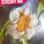 Flower Sensory Bin