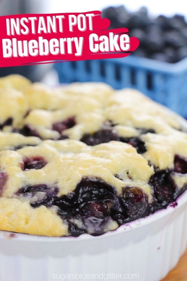 Instant Pot Blueberry Cake (with Video)