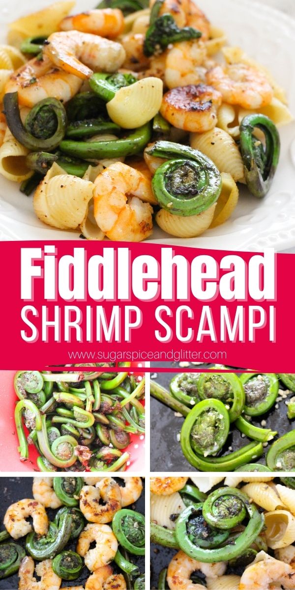 How to make a Fiddlehead Shrimp Scampi, a unique way to enjoy fresh Spring fiddleheads. This unique shrimp scampi is fresh, flavorful and light