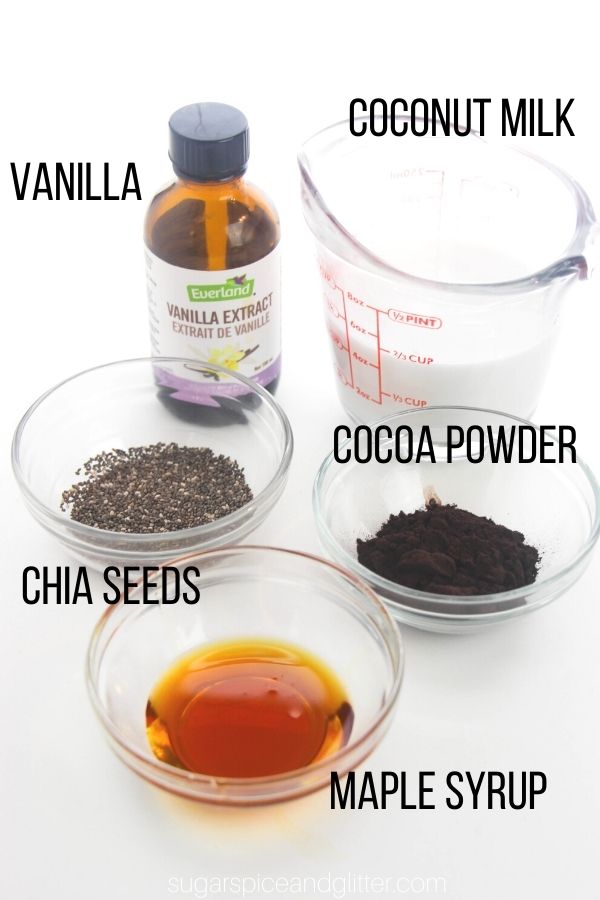 ingredients needed to make chocolate chia seed pudding