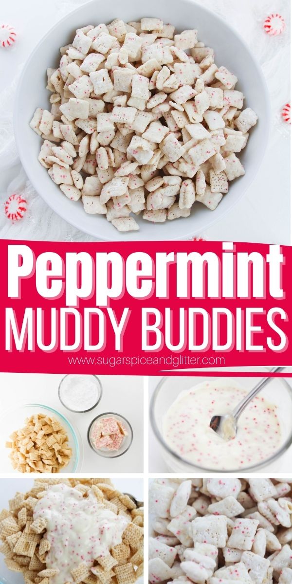 How to make peppermint muddy buddies, a peppermint white chocolate treat that your holiday guests will find irresistible. It takes just 3 ingredients and 10 minutes to whip up a giant batch of this sweet and crunchy treat