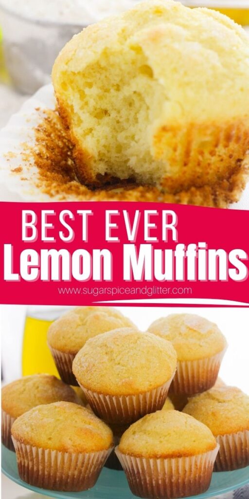 These Lemon Ricotta Muffins are lightly sweet, tender and have just the right amount of lemon tartness - absolutely the best lemon muffin recipe you will ever make or eat!