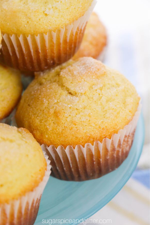 close-up image of a lemon ricotta muffin with a light sugar dusting on a blue cake pedestal
