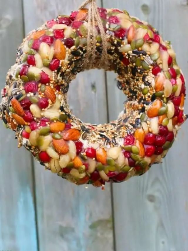 Kid-Made Bird Feeder Wreath-Cover image.