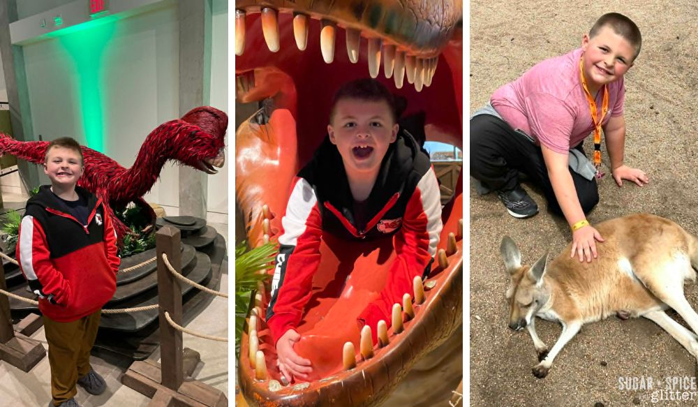 Collage of ten year old boy enjoying Kansas animal attractions 